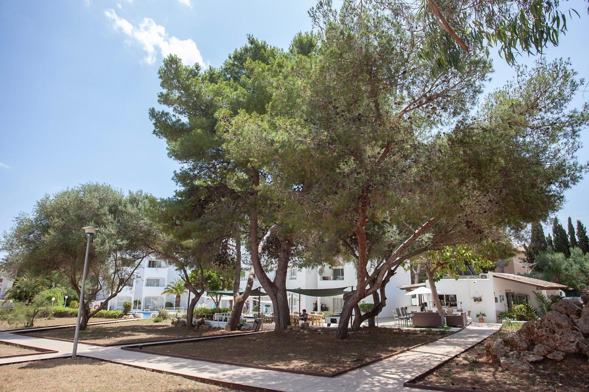 Bj Apartamentos Europa Sa Coma  Exterior photo